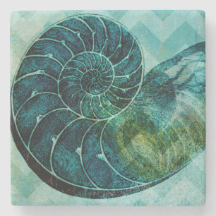 Posavasos De Piedra Concha espiral turquesa