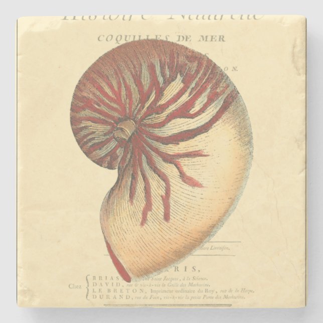 Posavasos De Piedra Concha roja vintage (Anverso)