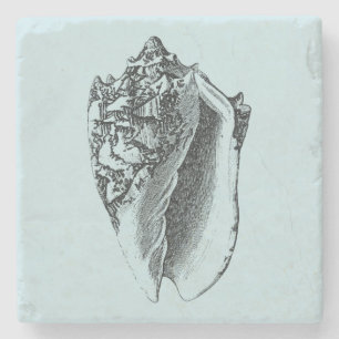 Posavasos De Piedra Concha Shell de la aguamarina