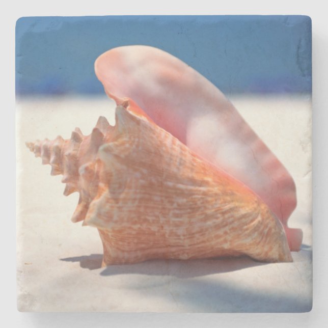 Posavasos De Piedra Concha Shell en la playa 2 (Anverso)