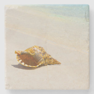 Posavasos De Piedra Concha Shell en la playa 3