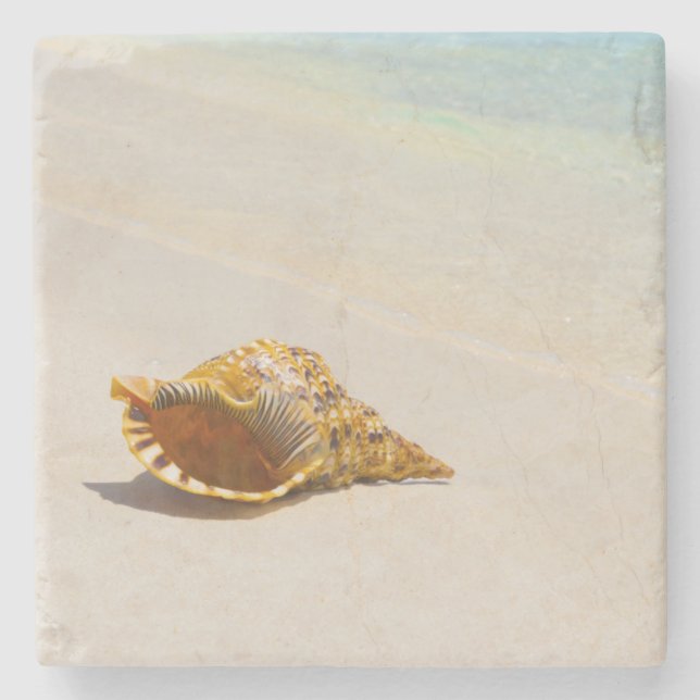 Posavasos De Piedra Concha Shell en la playa 3 (Anverso)