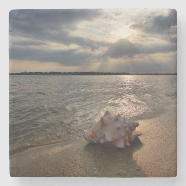 Posavasos De Piedra Concha Shell en la playa el | St Augustine, la (Anverso)
