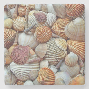Posavasos De Piedra conchas marinas