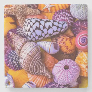 Posavasos De Piedra conchas marinas