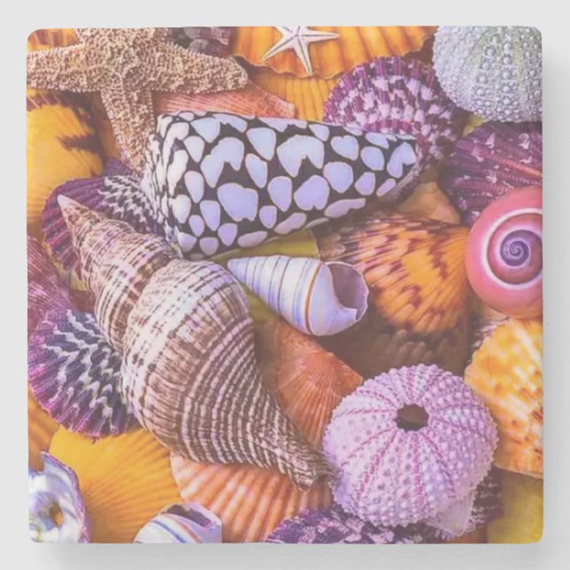 Posavasos De Piedra conchas marinas (Anverso)