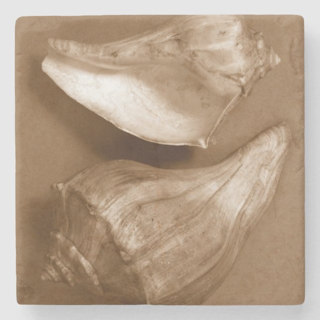 Posavasos De Piedra Conchas sensuales (Anverso)