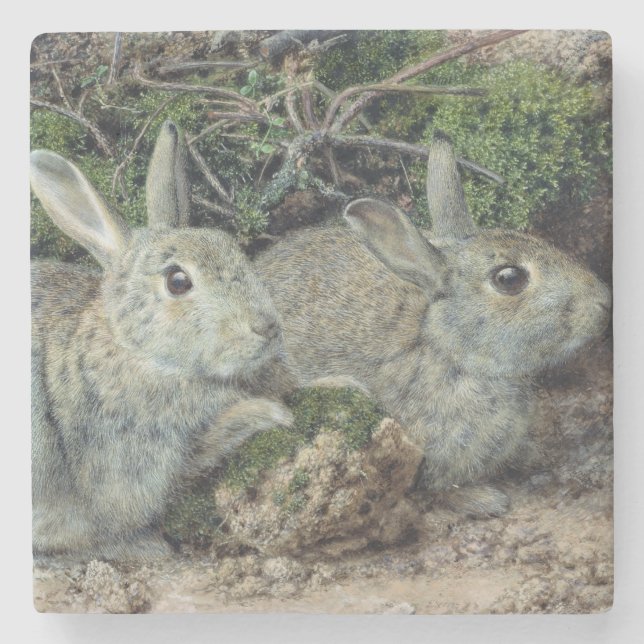 Posavasos De Piedra Conejos (Anverso)