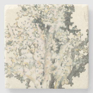 Posavasos De Piedra Coral antiguo de la acuarela