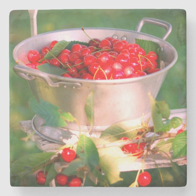 Posavasos De Piedra Cosecha de cerezo, huerto de algodón Rosalinde (Anverso)