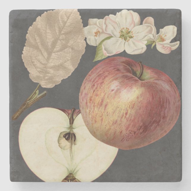 Posavasos De Piedra Cosecha de medianoche II (Anverso)