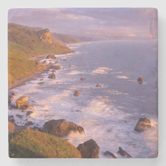 Posavasos De Piedra Costa de secuoyas, California (Anverso)
