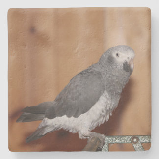 POSAVASOS DE PIEDRA COSTERA DE FOTOS PERSONALIZADO