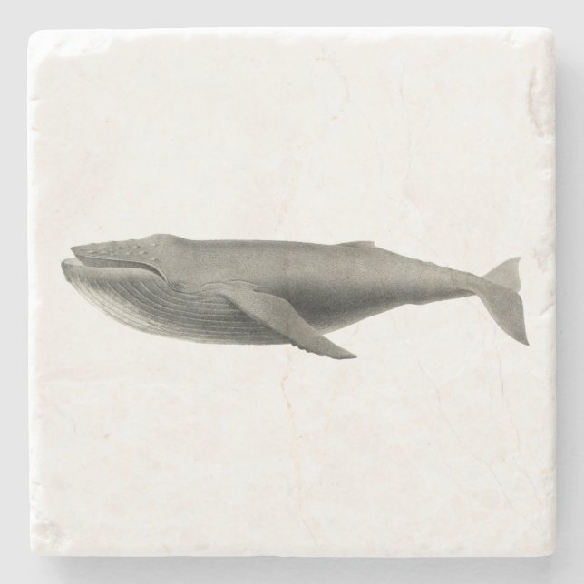 POSAVASOS DE PIEDRA COSTERA DE PIEDRA DE BALLENA (Anverso)