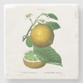 POSAVASOS DE PIEDRA COSTERA DE PIEDRA: GRÁFICAS: REDOUTÉ