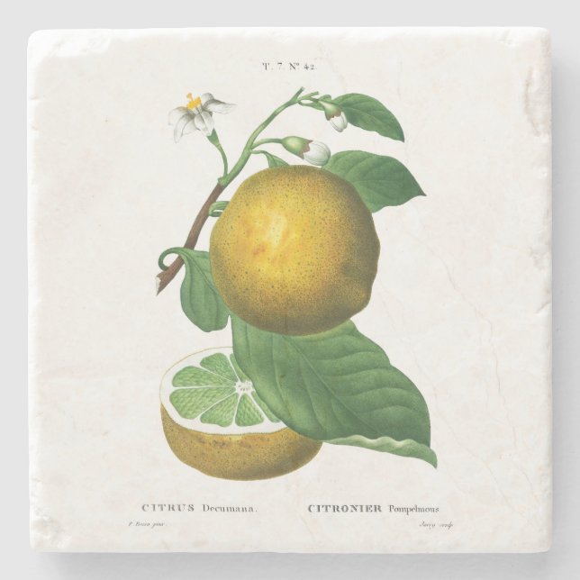 POSAVASOS DE PIEDRA COSTERA DE PIEDRA: GRÁFICAS: REDOUTÉ (Anverso)