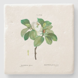 POSAVASOS DE PIEDRA COSTERA DE PIEDRA: MAGNOLIA: REDOUTÉ