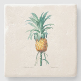 POSAVASOS DE PIEDRA COSTERA DE PIEDRA: PINEAPPLE: REDOUTÉ
