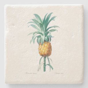 POSAVASOS DE PIEDRA COSTERA DE PIEDRA: PINEAPPLE: REDOUTÉ