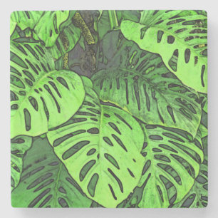 POSAVASOS DE PIEDRA COSTERA DE PIEDRA/ "PLANTA DE QUESO SUIZO"/PLANTA