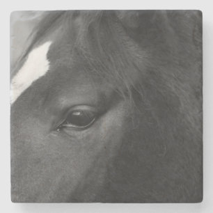 Posavasos De Piedra Costerna de caballo