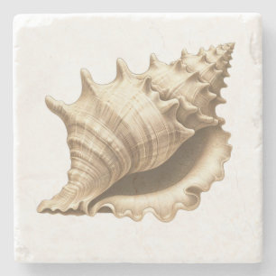 Posavasos De Piedra Costero/playa/concha náutica