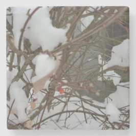 Posavasos De Piedra Costura de piedra