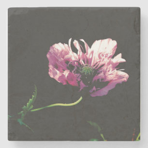 Posavasos De Piedra Costura de piedra