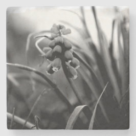 Posavasos De Piedra Costura de piedra