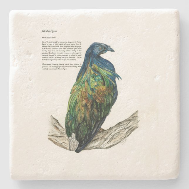 Posavasos De Piedra Costura de piedra (Anverso)