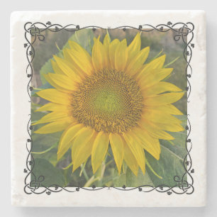 Posavasos De Piedra Costura de piedra de girasol
