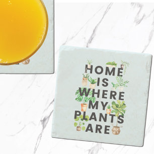 Posavasos De Piedra Cota de jardinería de plantas de interior tropical