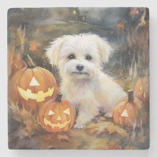 Posavasos De Piedra Coton De Tulear de Halloween con Calabazas Espeluz