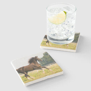 Posavasos De Piedra Crea tu propia foto de caballo de mascota personal