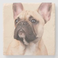 Crea tu propia foto personalizada de tu mascota