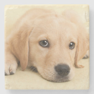 Posavasos De Piedra Crea tu propia foto personalizada de tu mascota