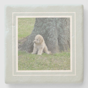 Posavasos De Piedra Crea tu propia granja de fotos en verde y blanco