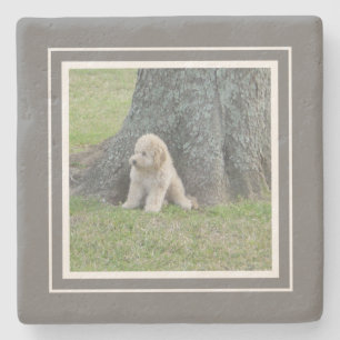 Posavasos De Piedra Crea tu propia granja de fotos gris y blanco