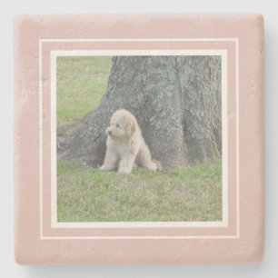 Posavasos De Piedra Crea Tu Propia Granja de Fotos Rosa y Blanco