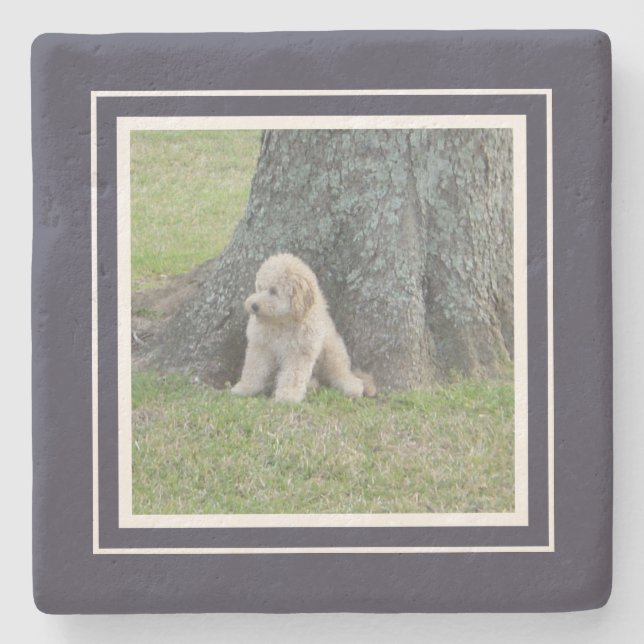 Posavasos De Piedra Crea tu propia plantilla de fotos azul y blanco (Anverso)
