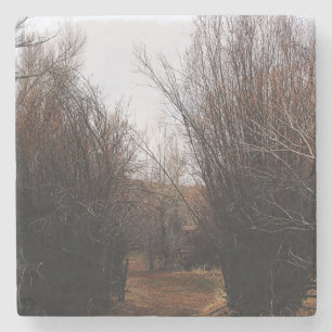 Posavasos De Piedra Crecimiento excesivo de la Bannack