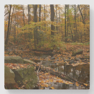 Posavasos De Piedra Creek otoñal con reflexión en Laurel Hill Park
