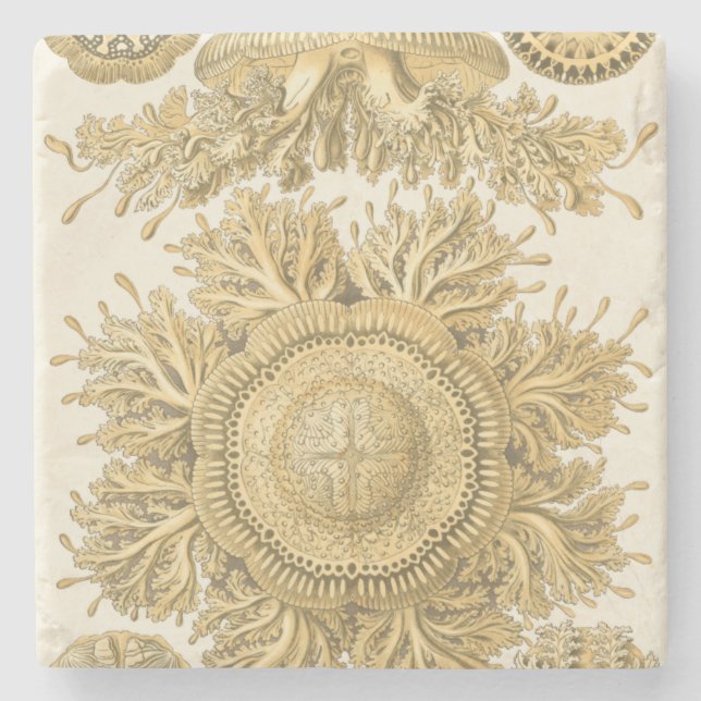 Posavasos De Piedra Criaturas del Mar de Oro (Anverso)