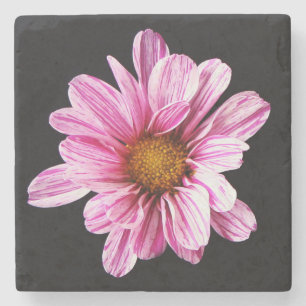 Posavasos De Piedra Crisantemo Coastercnm flor
