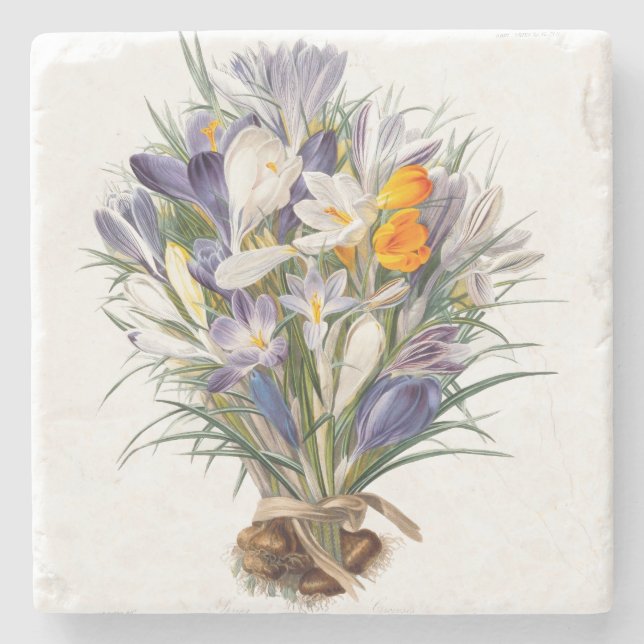 Posavasos De Piedra Crocus Spring Flower Botanical Floral Art (Anverso)