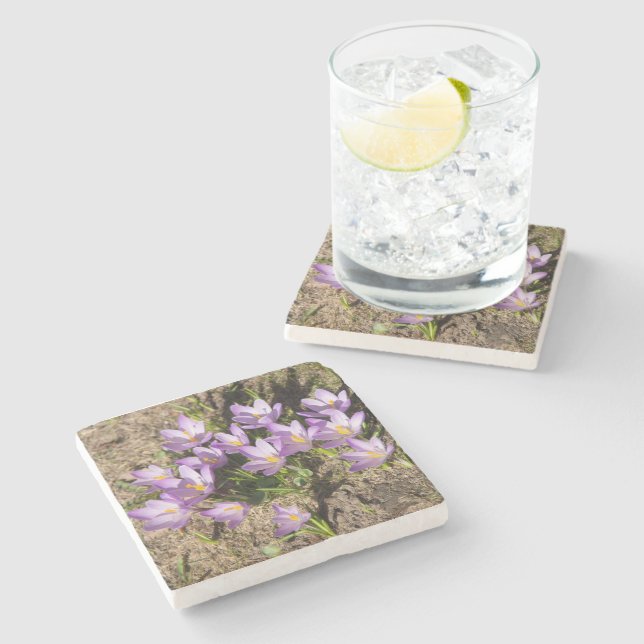 Posavasos De Piedra Cruces elásticos (Lateral)