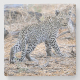 Posavasos De Piedra Cubo De Leopardo En Movimiento.