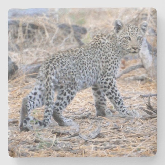 Posavasos De Piedra Cubo De Leopardo En Movimiento. (Anverso)