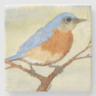 Posavasos De Piedra Cuenca de Bluebird 1