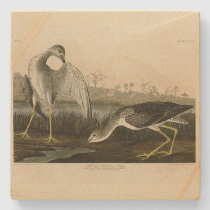 Posavasos De Piedra Cuento de Dios, Snipe - Audubon Birds of America